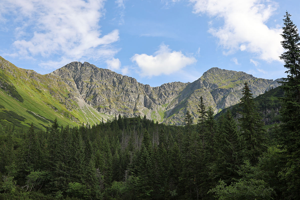 Rohacze