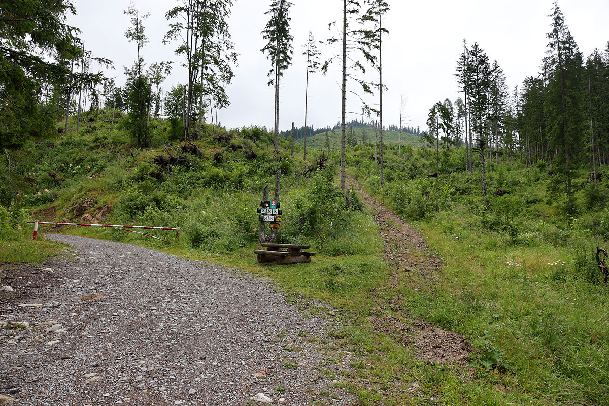 Początek podejścia przy rozstaju z drogą