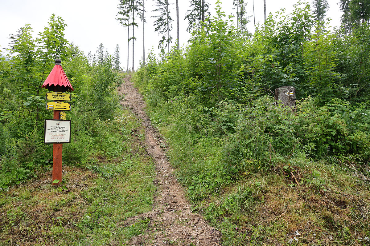 Kolejny rozstaj przy wiacie