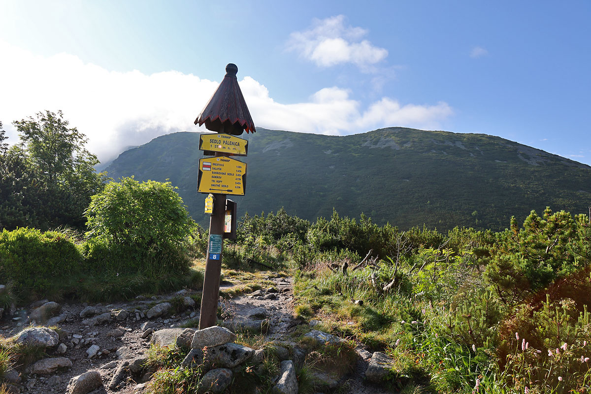 Palenica Jałowiecka, w tle Czerwony Wierch