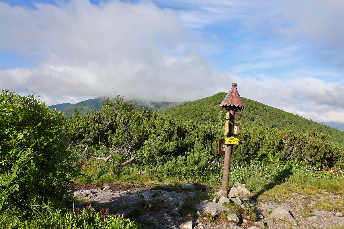 Siwy Wierch w chmurach