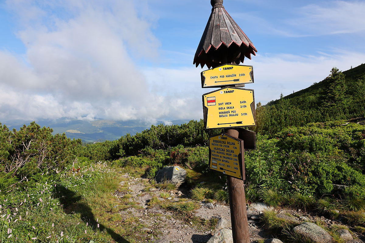 Palenica Jałowiecka