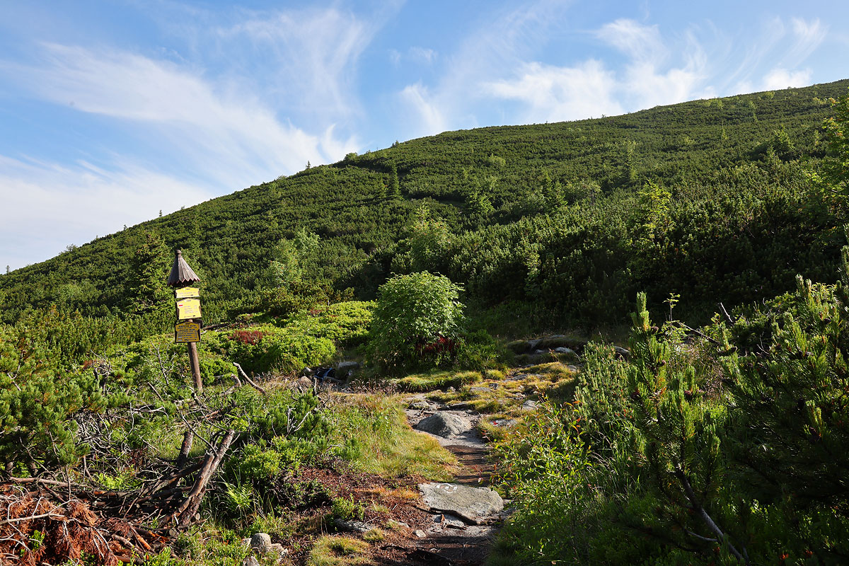Zbocza Zuberskiego Wierchu