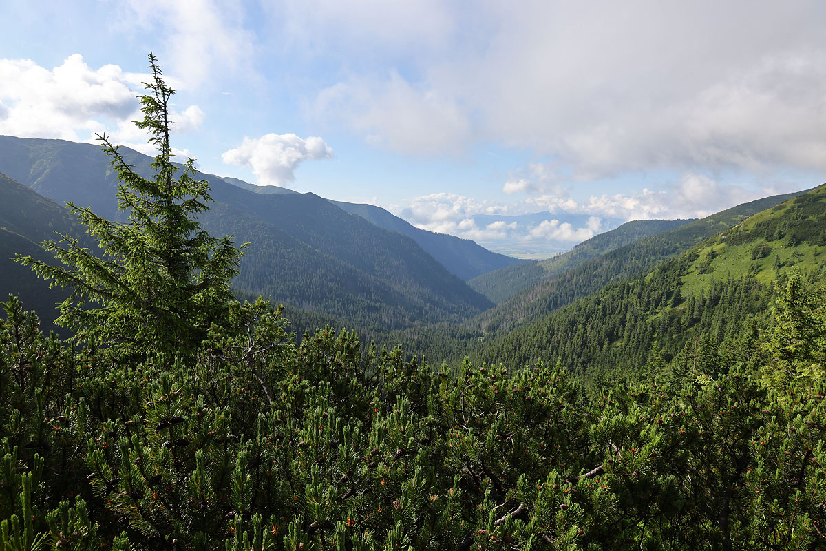Widok ku Dolinie Jałowieckiej