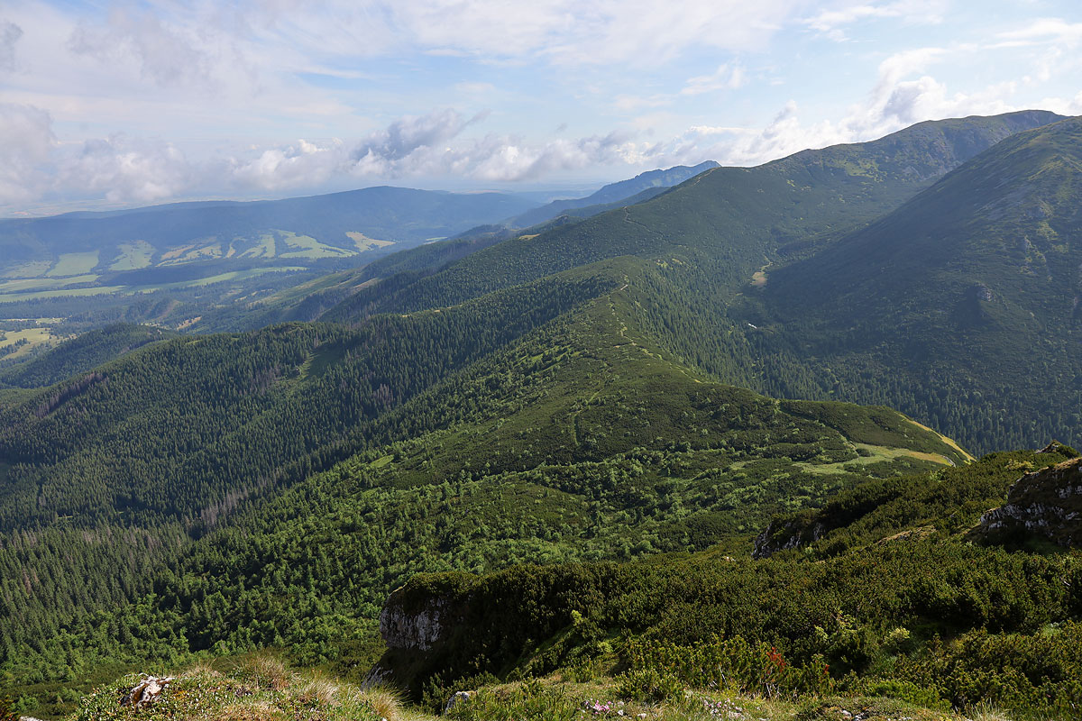 Skoruszyna, Osobita, Brestowa