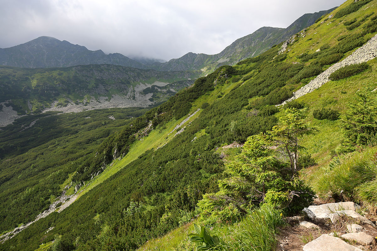 Spalona Kopa i grań Skrzyniarek