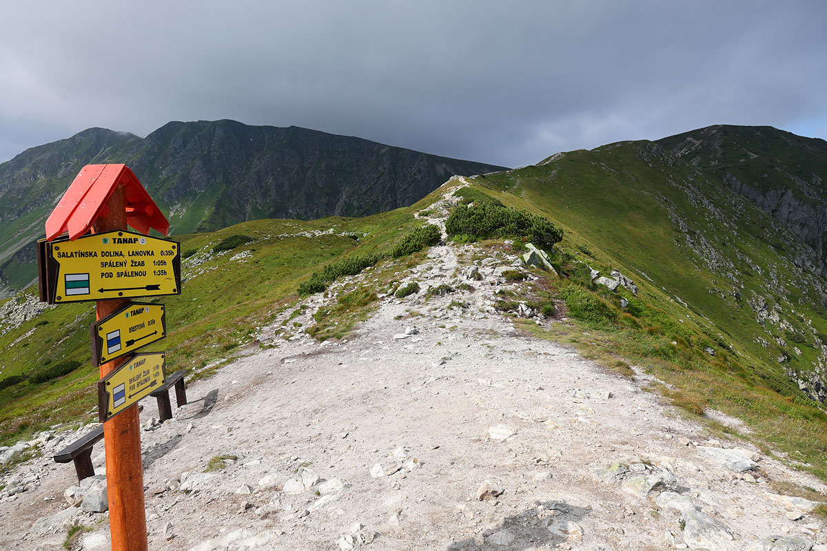 Przedni Salatyn - widok na Salatyny i Brestową