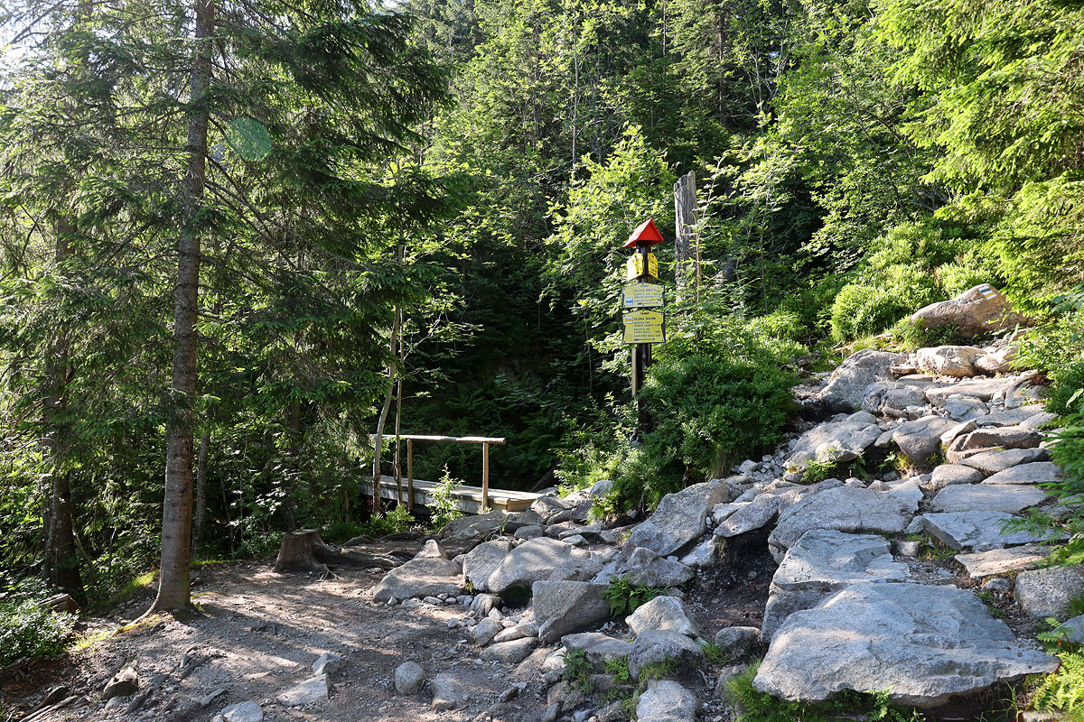 Mostek prowadzący do Wyżniego Rohackiego Wodospadu