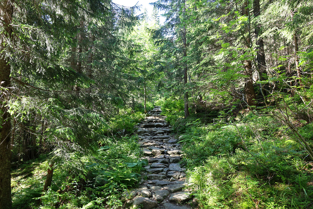 Podejście powyżej Rohackiego Wodospadu