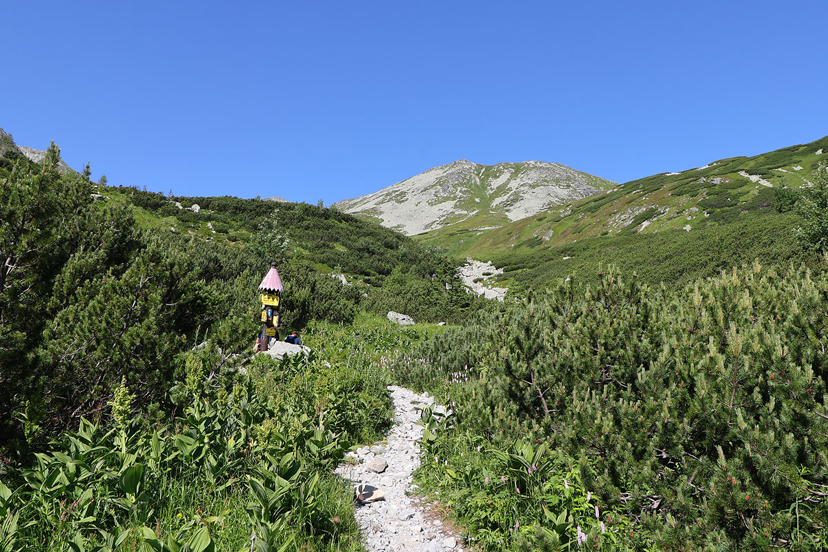 Rozwidlenie, w tle Spalona Kopa