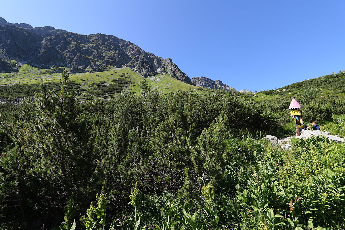 Skaliste ściany Hrubej Kopy