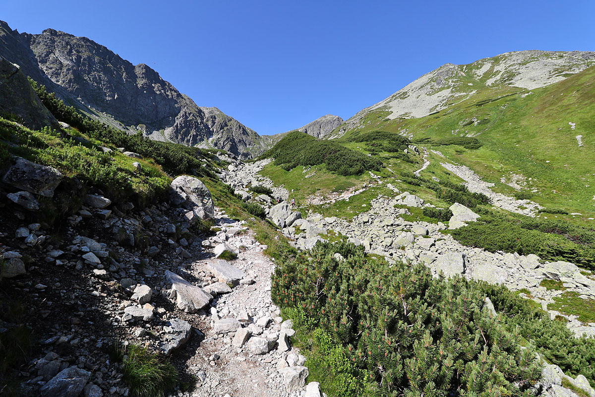 Banówka, Pachoł i Spalona Kopa