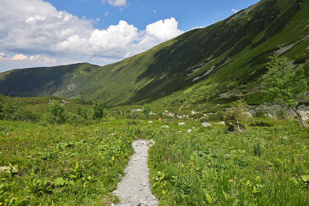 Widok na Zabrat
