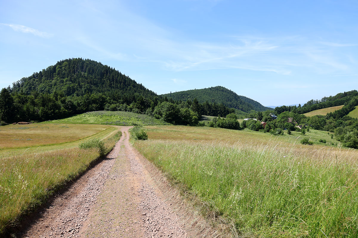 Waliogóra i Suchawa