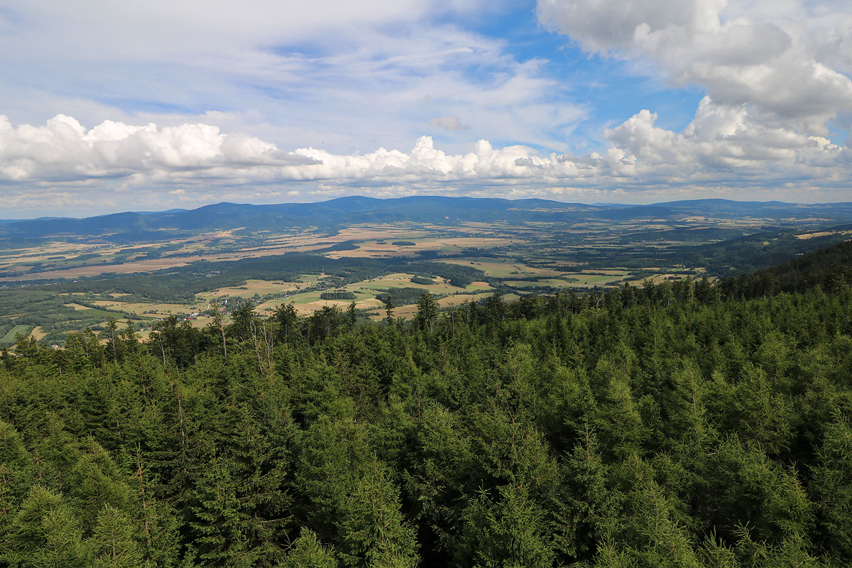 Widok na Masyw Śnieżnika